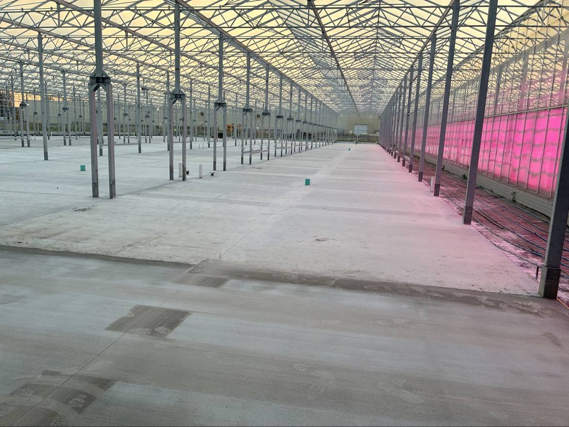 Commercial greenhouse interior concrete floor from another angle