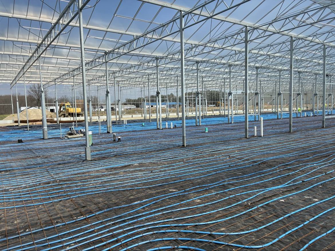 Blue radiant heat tubing laid over rebar before a concrete pour